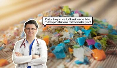 Sağlığı tehdit ediyor! Mikroplastikler her yerde: kalpte, beyinde, böbreklerde…