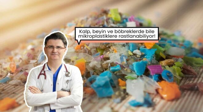 Sağlığı tehdit ediyor! Mikroplastikler her yerde: kalpte, beyinde, böbreklerde…