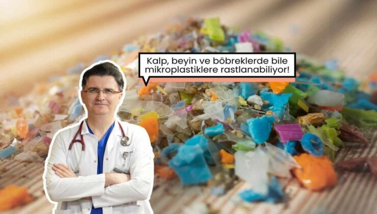 Sağlığı tehdit ediyor! Mikroplastikler her yerde: kalpte, beyinde, böbreklerde…