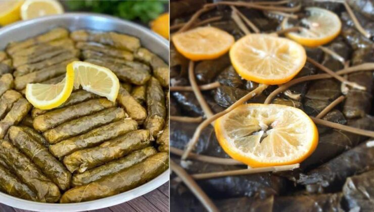 Yaprak salamurasında yeni yöntem! Tuzlamak tarih oluyor