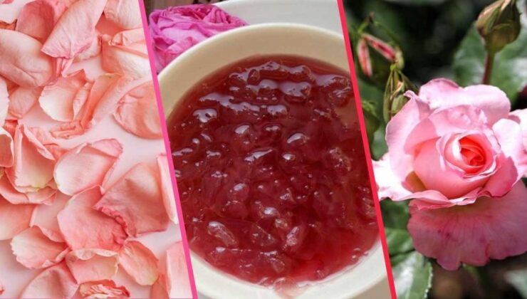 Gül reçeli yapmanın püf noktası: Doğru gülü seçmek! Tam kıvamında gül reçeli tarifi