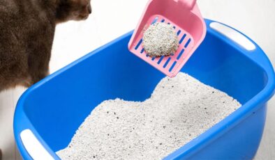 Hamilelikte bunu sakın yapmayın! Sebebi şok edecek…