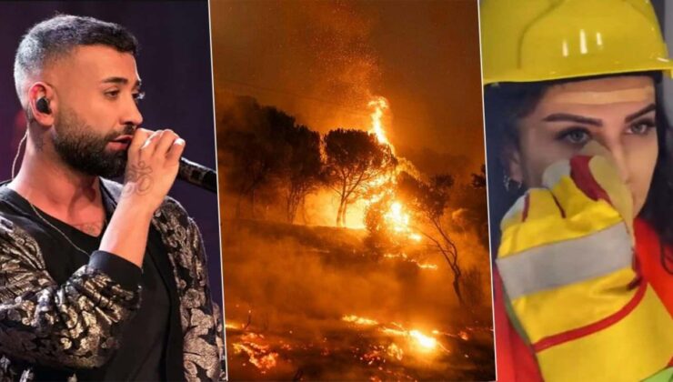 Orman yangınları ile dalga geçtiler! Tan Taşçı’dan sert sözler: Beyin gelişimi yetersiz