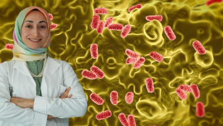 Yaz aylarında gıda zehirlenmelerine dikkat: Salmonella sessizce yayılıyor