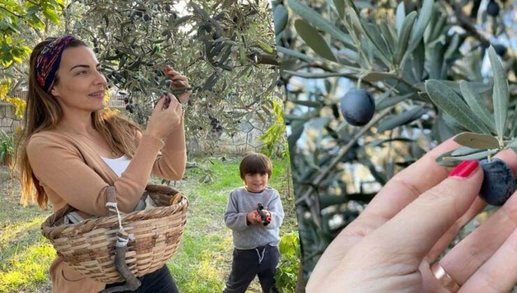Burcu Kara, şehri terk etti: İznik’te zeytinlik kurdu! Satın aldığı çiftlik tanıdık çıktı