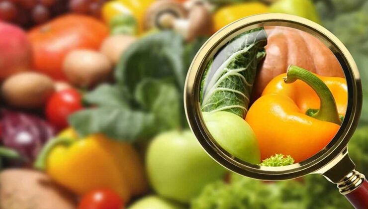 Dünya Gıda Günü’nde Prof. Dr. Vedat Göral’dan sağlıklı gıda ve güvenli tüketim uyarıları!