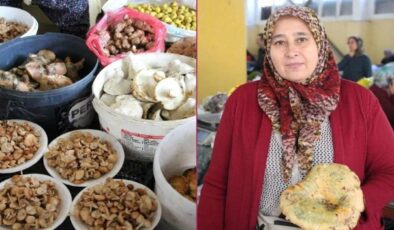 Ormandan kova kova topladı, geçim kaynağı oldu: Kilosu 400 liradan satılıyor!