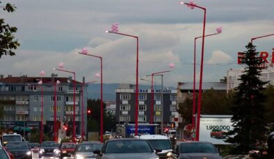 UEDAŞ’tan anlamlı proje: Pembe lambalarla erken teşhise dikkat