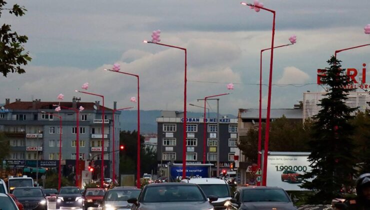 UEDAŞ’tan anlamlı proje: Pembe lambalarla erken teşhise dikkat