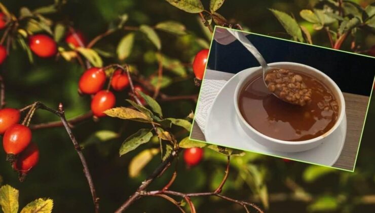 Yozgat yöresine ait ‘kuşburnu yemeği’ faydalarıyla popüler oldu! 70 derdi devası