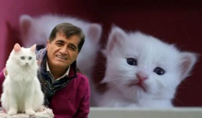 Aydın Aydın’dan Van kedisiyle unutulmaz düet!