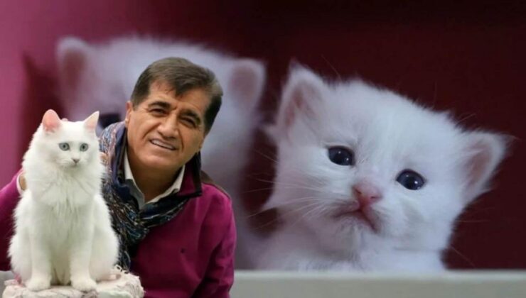 Aydın Aydın’dan Van kedisiyle unutulmaz düet!