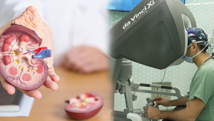 Hormon dengesini bozan kitlelere ‘Robotik Çözüm!’ Uzman isim tek tek anlattı