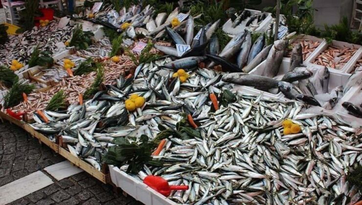 Kalp ve beyin sağlığı için en faydalı 5 balık türü açıklandı!