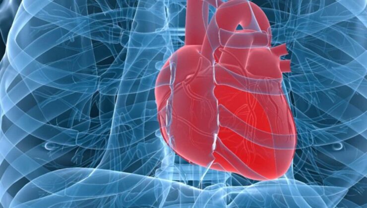 Kalpte delik (ASD) artık kapalı yöntemle hızlı ve güvenli bir şekilde tedavi edilebiliyor!