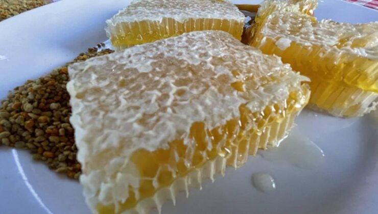 Karabük’ün meşhur lezzeti Yenice ıhlamur balı AB’den coğrafi işaret tescili aldı!