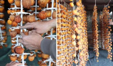 Ürgüp’ün doğal lezzeti dünyaya açıldı! Kurutulmuş cennet hurmasının faydaları saymakla bitmiyor