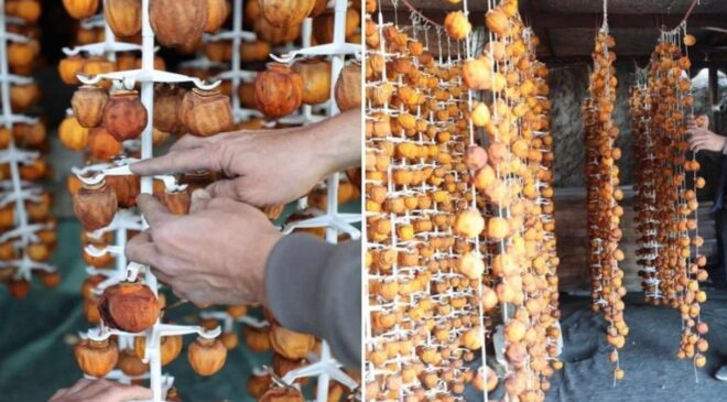 Ürgüp’ün doğal lezzeti dünyaya açıldı! Kurutulmuş cennet hurmasının faydaları saymakla bitmiyor
