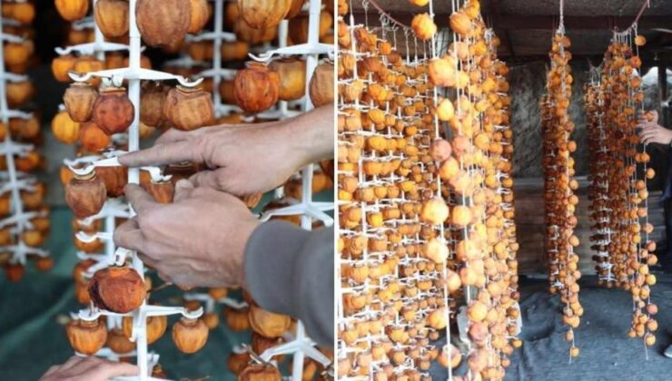 Ürgüp’ün doğal lezzeti dünyaya açıldı! Kurutulmuş cennet hurmasının faydaları saymakla bitmiyor