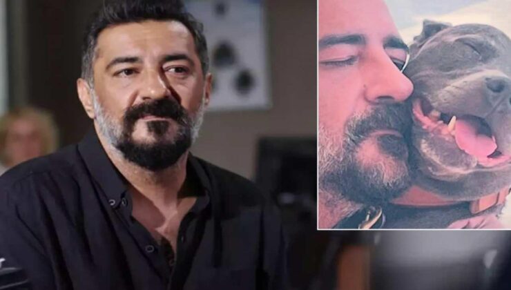 Celil Nalçakan 12 yıllık can dostu Robin’i kaybetti: Üşümezsin değil mi?