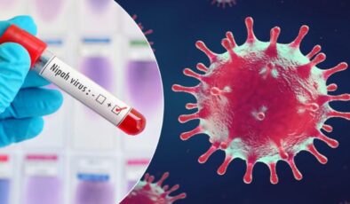 Dünya Sağlık Örgütü alarm verdi: Nipah virüsü nedir, Türkiye’de var mı?