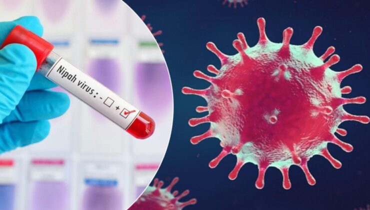 Dünya Sağlık Örgütü alarm verdi: Nipah virüsü nedir, Türkiye’de var mı?