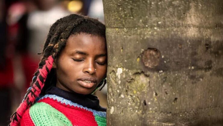 Kenyalı Aktivist 72 saaat boyunca ağaca sarıldı: Guinness dünya rekoru kırdı!