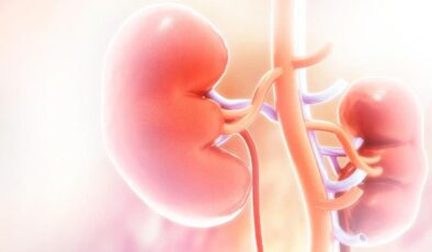 Böbrek hastalarında beslenmede tek çözüm: Parmak izi gibi kişiye özel diyet