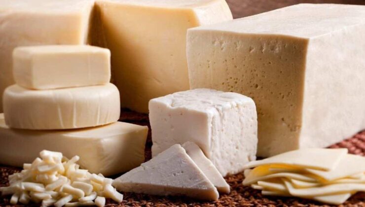 Tek lokmada sağlık sırrı: Uzmanlar dünyanın en sağlıklı 3 peynirini açıkladı!