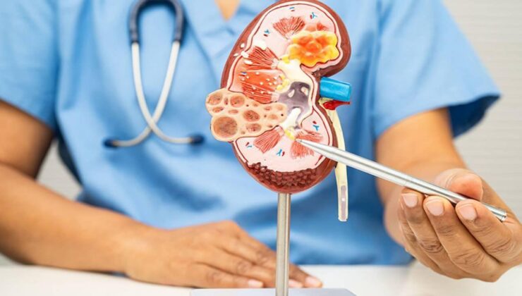 12 Mart Dünya Böbrek Günü’nde uzmandan alarm: Çocuklarda böbrek hastalığının ilk sinyali ateş