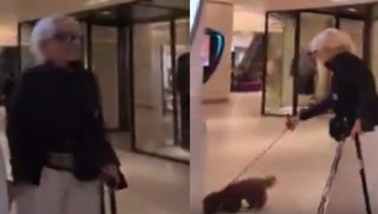 Semiramis Pekkan’ın köpeğiyle AVM’deki görüntüleri olay oldu