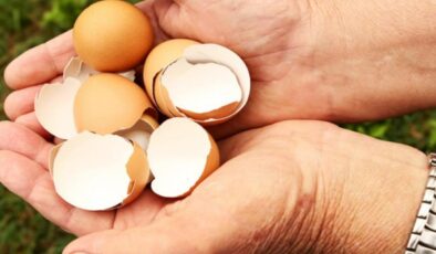 Yumurta kabuğu tüketimi trend oldu! Uzmanlar önemli uyarılarda bulundu
