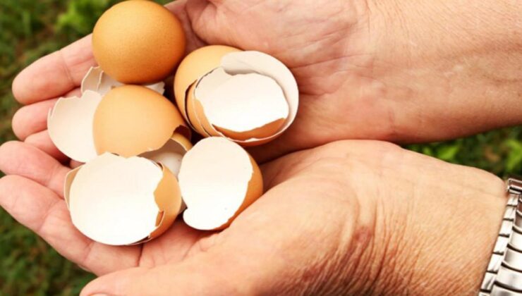 Yumurta kabuğu tüketimi trend oldu! Uzmanlar önemli uyarılarda bulundu